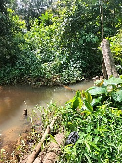 Aniwalo streams and water resources