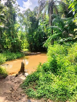 Aniwalo streams and water resources