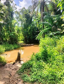 ANINWALO streams and water resources